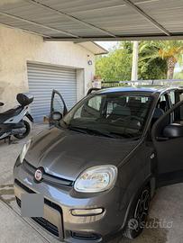 Fiat Panda fire fly 2022