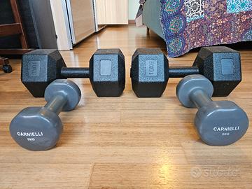 coppia di manubri 10 kg e 5kg