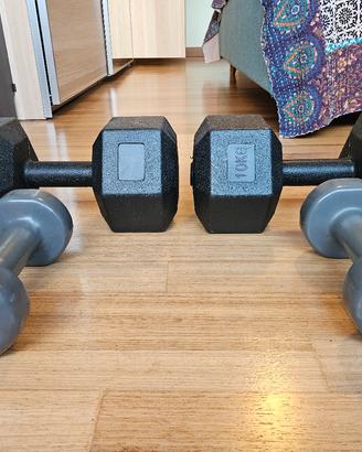 coppia di manubri 10 kg e 5kg