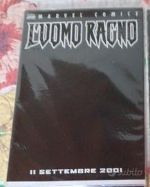 Uomo ragno 11/9/2001