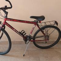 Bicicletta mountain bike 