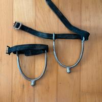 Speroni inglesi e americani