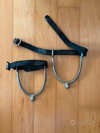 Speroni inglesi e americani