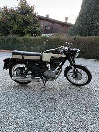 Gilera giubileo super 202- targa oro