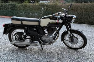 Gilera giubileo super 202- targa oro