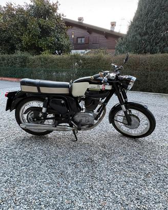 Gilera giubileo super 202- targa oro