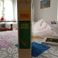 Enciclopedia edizione limitata