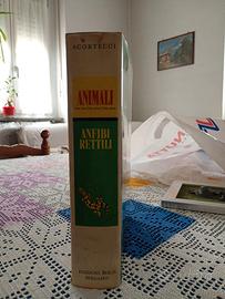 Enciclopedia edizione limitata