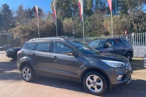 Ford Kuga 2.0 TDCI 150 CV S&S 4WD Business