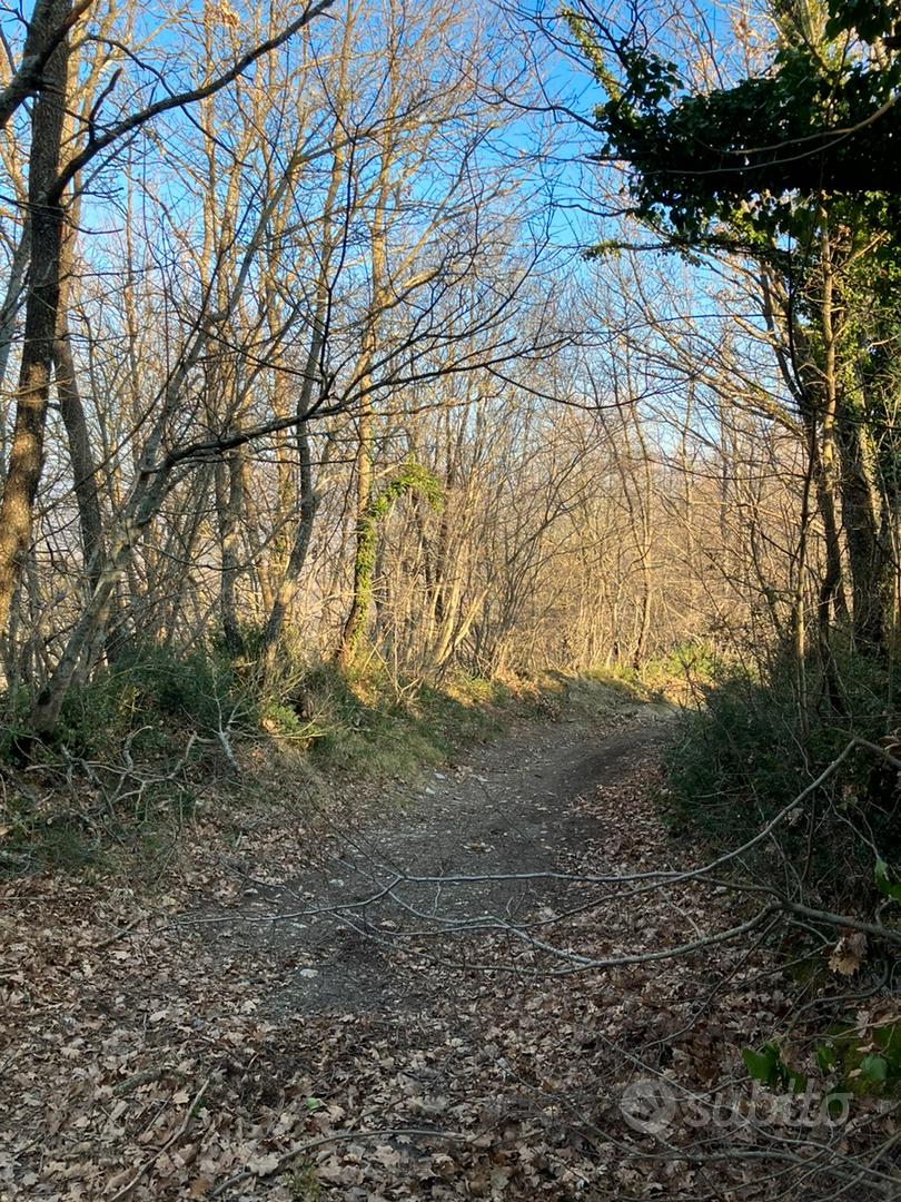 8 ettari - View 5