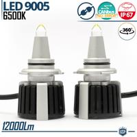 Kit Lampade LED 9005 QUARZO Luce Potente 6500K 55W