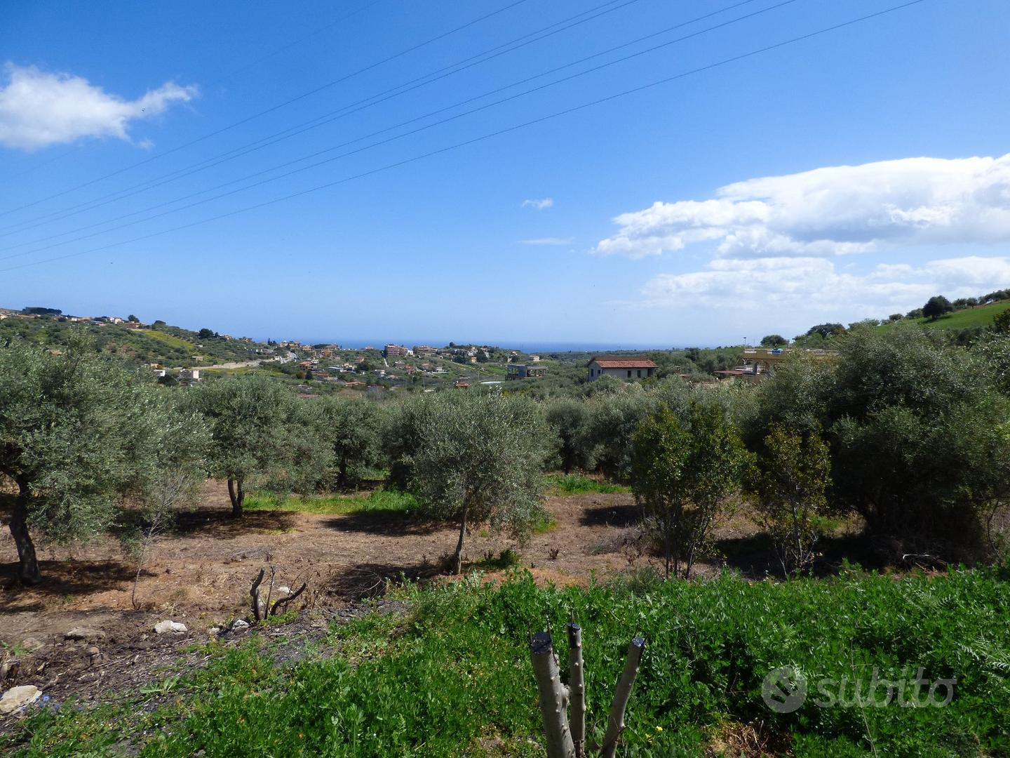 Terreno agricolo panoramico Ter/32 - Vista 5