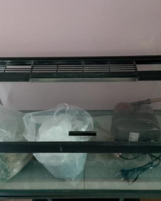 acquario completo