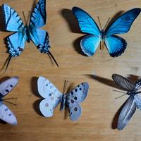 5 Farfalle finte realistiche