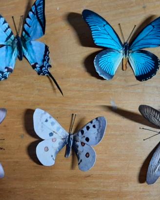 5 Farfalle finte realistiche