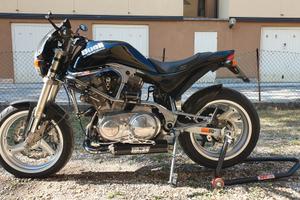 buell s1