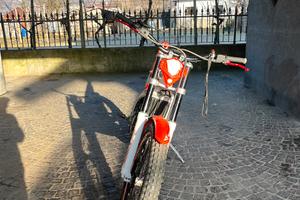 Trial beta  300