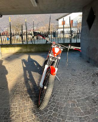 Trial beta  300