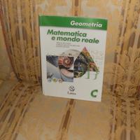 Matematica e mondo reale, geometria C