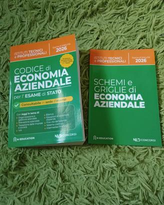 Codice di economia aziendale 2026
