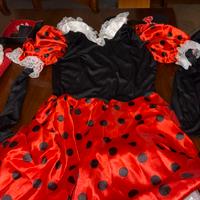 Vestito carnevale