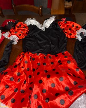 Vestito carnevale