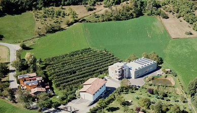 PIANTAMENTO