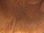 Immagine 10