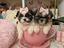 Immagine 2