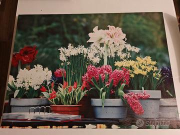 canvas tela quadro decorazione floreale 
