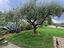 Immagine 14