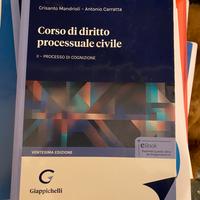 Manuale di diritto processuale civile