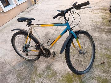 Mountain bike