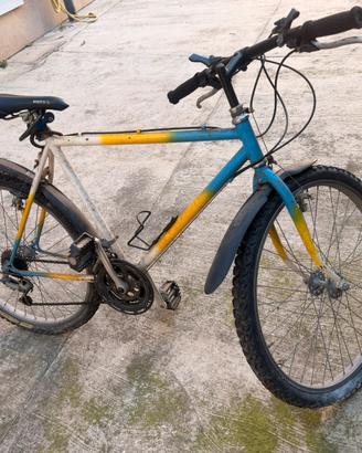 Mountain bike uomo