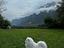 Immagine 2