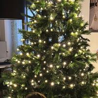 Albero di Natale 240