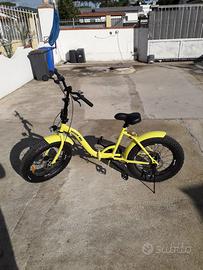 Bicicletta pieghevole