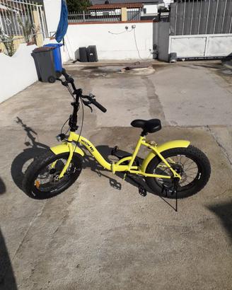 Bicicletta pieghevole
