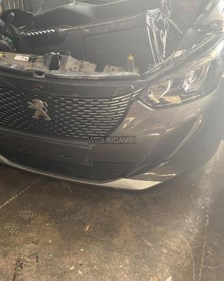 Peugeot 2008 musata 2020 2022 2023