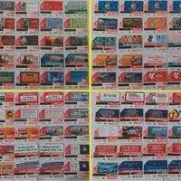 Collezione di 100 schede telefoniche