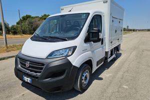 FIAT Ducato 33 2.3 MJT 120CV CELLA ISOTERMICA EU