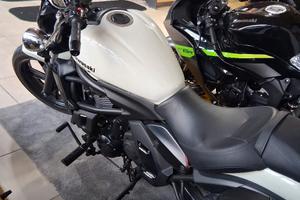 kawasaki vulcan s