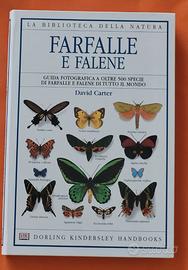 Farfalle e falene