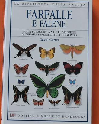 Farfalle e falene