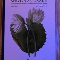 Quando l'arte serviva a curare - aboca