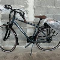 Bici elettrica ebike pedalata assistita Schiano