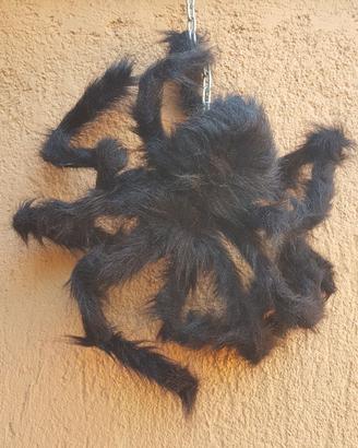 Halloween Ragno