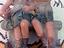 Immagine 1