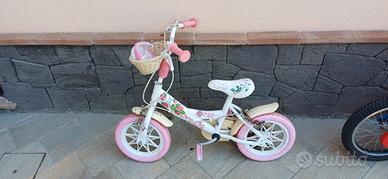 Bicicletta bambina 2/5 anni