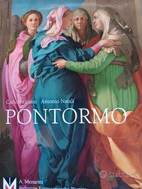 libro d'arte Pontormo